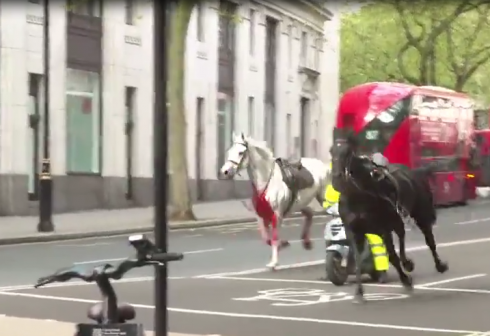 Due cavalli della guardia reale fuggono nelle strade del centro di Londra e si schiantano su bus e taxi, 4 feriti