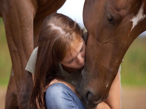 cavallo