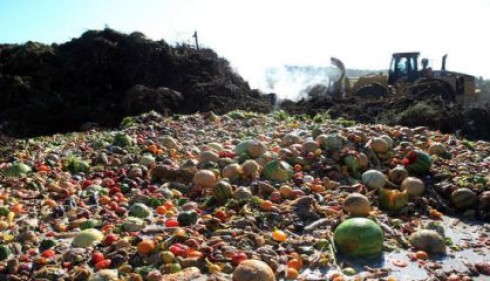 cibo buttato in discarica cibo buttato in discarica