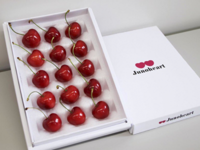 Giappone: ciliegie vendute al prezzo record di 280 euro l’una