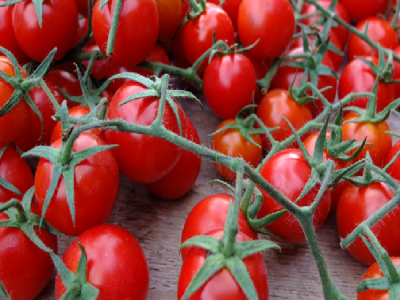 Allerta alimentare: ritiro cautelativo di un lotto di pomodoro ciliegino a marchio "G&V Ortaggi" per sospetta presenza di salmonella spp