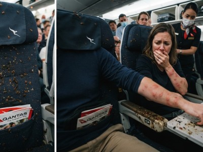 Incubo a bordo del volo QF5 della Qantas da Perth a Roma: volo cancellato per infestazione di cimici dei letti