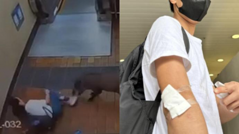 Due persone aggredite da un cinghiale in metropolitana - VIDEO