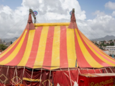 Terrore al circo, i leoni scappano, vanno sugli spalti tra gli spettatori e poi all’esterno - Video