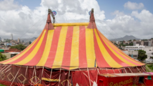 Terrore al circo, i leoni scappano, vanno sugli spalti tra gli spettatori e poi all’esterno - Video