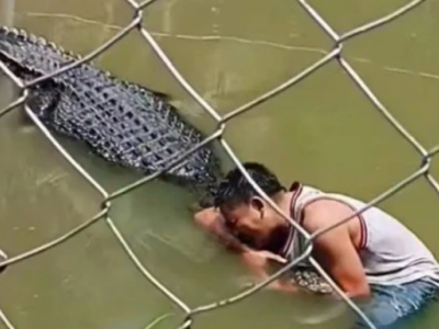 Selfie mania: coccodrillo aggredisce uomo mentre cerca di scattare una foto