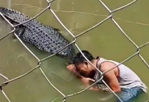 Selfie mania: coccodrillo aggredisce uomo mentre cerca di scattare una foto