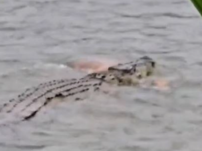 Indonesia, morte orribile per un 80enne in un fiume. È stato afferrato da un coccodrillo mentre faceva il bagno