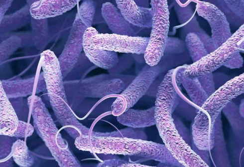 L'acqua santa contaminata dall'Etiopia ha portato il colera multiresistente in Europa