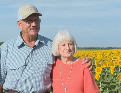 Per i 50 anni di matrimonio regala alla moglie 1,2 milioni di girasoli