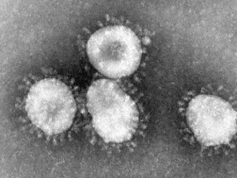 coronavirus