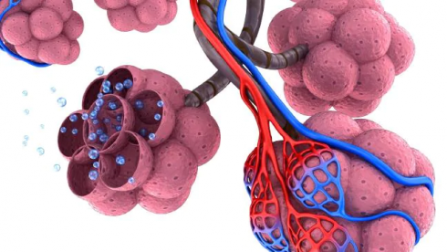 Coronavirus/SARS e pandemie. Tra la fine del 2012 e l’inizio 2013 lo “Sportello dei Diritti” aveva già denunciato il pericolo di pandemie dovute alla possibile diffusione di coronavirus.