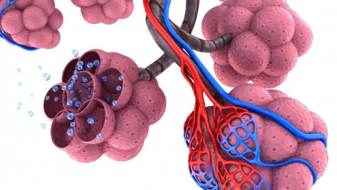 Coronavirus/SARS e pandemie. Tra la fine del 2012 e l’inizio 2013 lo “Sportello dei Diritti” aveva già denunciato il pericolo di pandemie dovute alla possibile diffusione di coronavirus. 