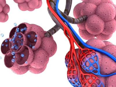 Coronavirus/SARS e pandemie. Tra la fine del 2012 e l’inizio 2013 lo “Sportello dei Diritti” aveva già denunciato il pericolo di pandemie dovute alla possibile diffusione di coronavirus. 