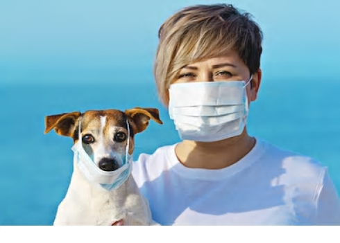Coronavirus e animali.