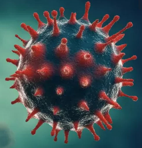 Nuova variante del coronavirus scoperta in Sudafrica