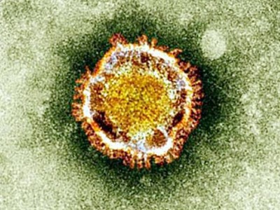 coronavirus