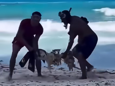 Turista scomparso a Cancun viene trovato morto, sarebbe stato divorato dagli squali dopo aver salvato il suo amico – Il video