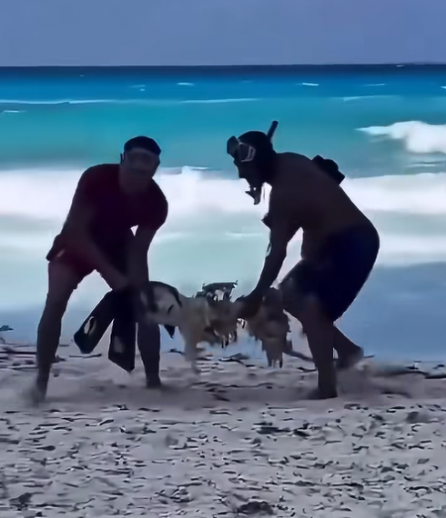 Turista scomparso a Cancun viene trovato morto, sarebbe stato divorato dagli squali dopo aver salvato il suo amico – Il video