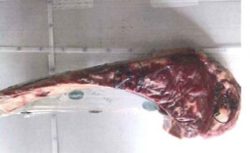 Richiamo per costata di manzo adulto Platinum Prime con escheria coli produttore di Shigatossine.