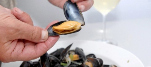 Biotossine nelle cozze: allerta grave RASFF per sindrome diarroica da cozze vive italiane.
