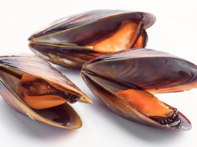 Allarme nazionale: cozze mediterranee dalla Spagna, confezionate in Italia, contaminate con Salmonella. 