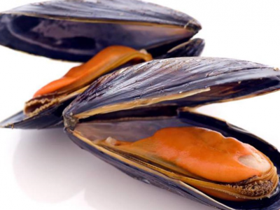 Cozze allevate in mare contaminate da tossine Dinophysis: scattata allerta Rasff in Italia e nella UE