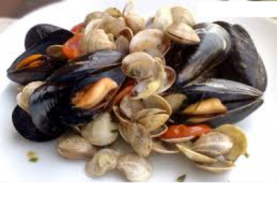 Vongole con escherichia coli ma anche pericoli da cozze per Diarroica Shellfish Poisoning: allerta RASFF per le nostre tavole