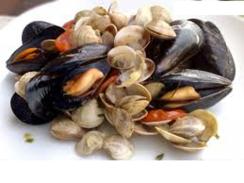 Vongole con escherichia coli ma anche pericoli da cozze per Diarroica Shellfish Poisoning: allerta RASFF per le nostre tavole