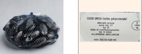 Escherichia coli oltre i limiti: scatta il richiamo delle cozze allevate in Grecia