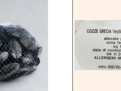 Escherichia coli oltre i limiti: scatta il richiamo delle cozze allevate in Grecia