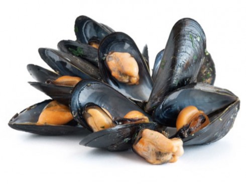 Allerta del RASFF. Cozze provenienti dalla Grecia, allarme escherichia coli in tutta Italia  