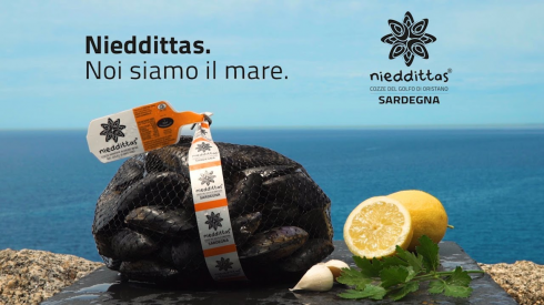 "Cozze  Nieddittas" riceviamo e pubblichiamo da Azienda Cooperativa Pescatori Arborea scarl Marchio: Nieddittas