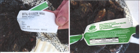 Nuovo allarme Escherichia coli nelle cozze