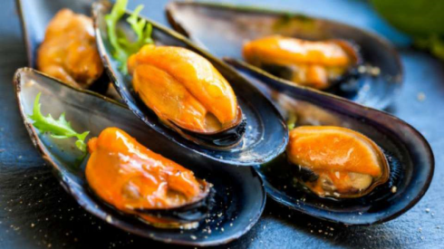 Cozze dalla Spagna contaminate da salmonella, allarme in Italia