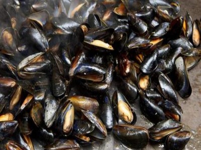 cozze