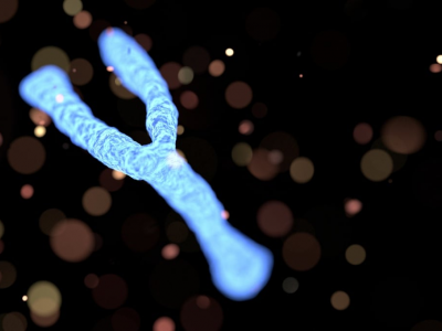 Il cromosoma Y della mascolinità potrebbe scomparire negli esseri umani