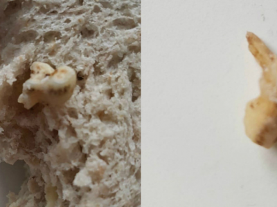 Coop di Basilea, trova un dente umano dentro il panino alle noci. 