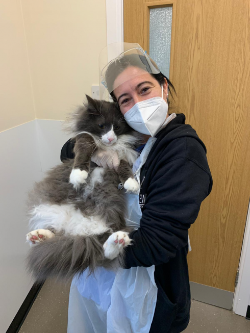Veterinari: più donne che uomini.