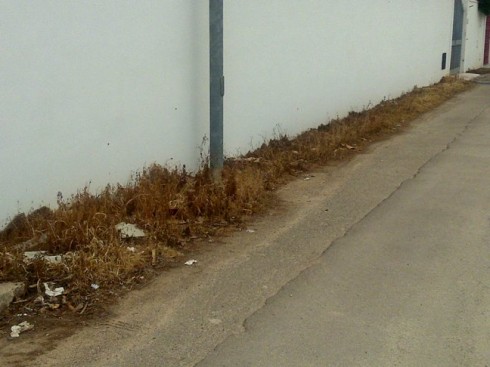 diserbante glifosate periferia Lecce diserbante glifosate periferia Lecce