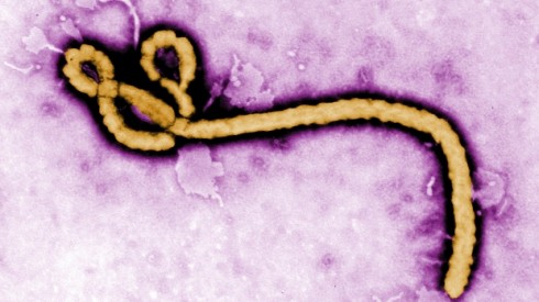 ebola ebola