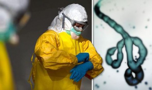 ebola ebola