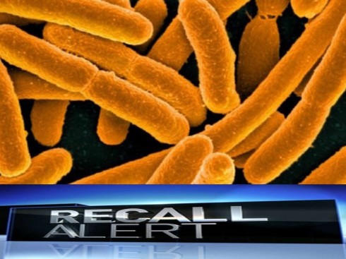 e coli e coli