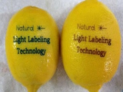 etichettatura laser agrumi