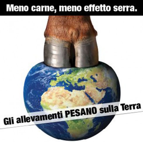 allevamenti effetto serra allevamenti effetto serra
