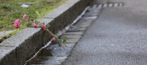 Violenze e abusi, choc in Svizzera: bimbo di 7 anni pugnalato a morte in mezzo alla strada.