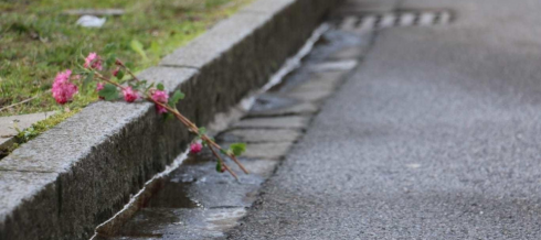 Violenze e abusi, choc in Svizzera: bimbo di 7 anni pugnalato a morte in mezzo alla strada. 