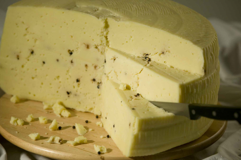 RASFF, allerta per un lotto di Formaggio al Pepe Nero prodotto in Italia contaminato da Escherichia coli ritirato dal mercato europeo