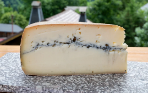 Escherichia nel formaggio Morbier Jeune AOP au lait cru