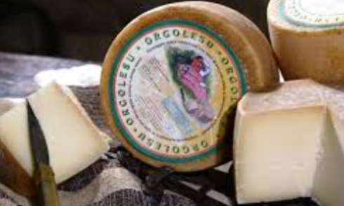 Escherichia Coli STEC nel formaggio dolce di pecora a latte crudo denominato “Pecorino Orgolesu”